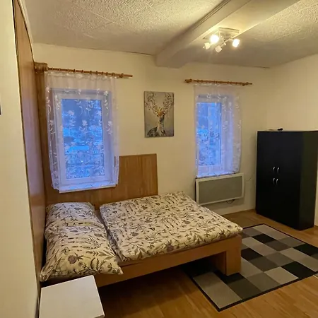 Apartment Horsky
